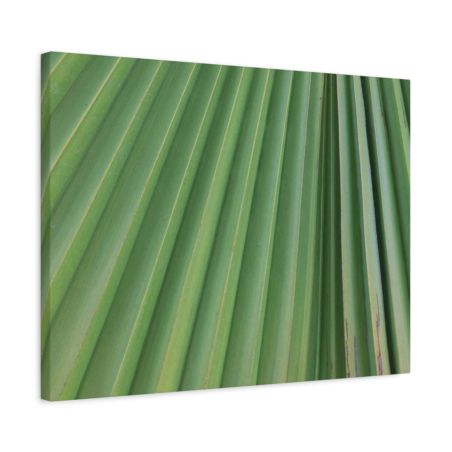 Palm Pulse - Unique Frameless Canvas Wall Art - Art By Earth