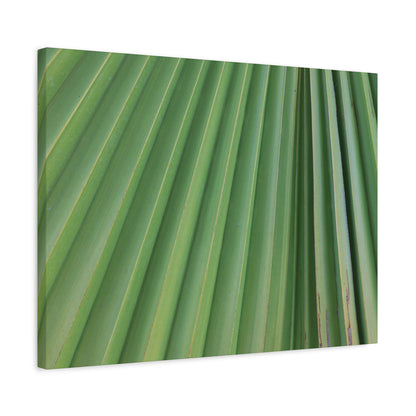 Palm Pulse - Unique Frameless Canvas Wall Art - Art By Earth