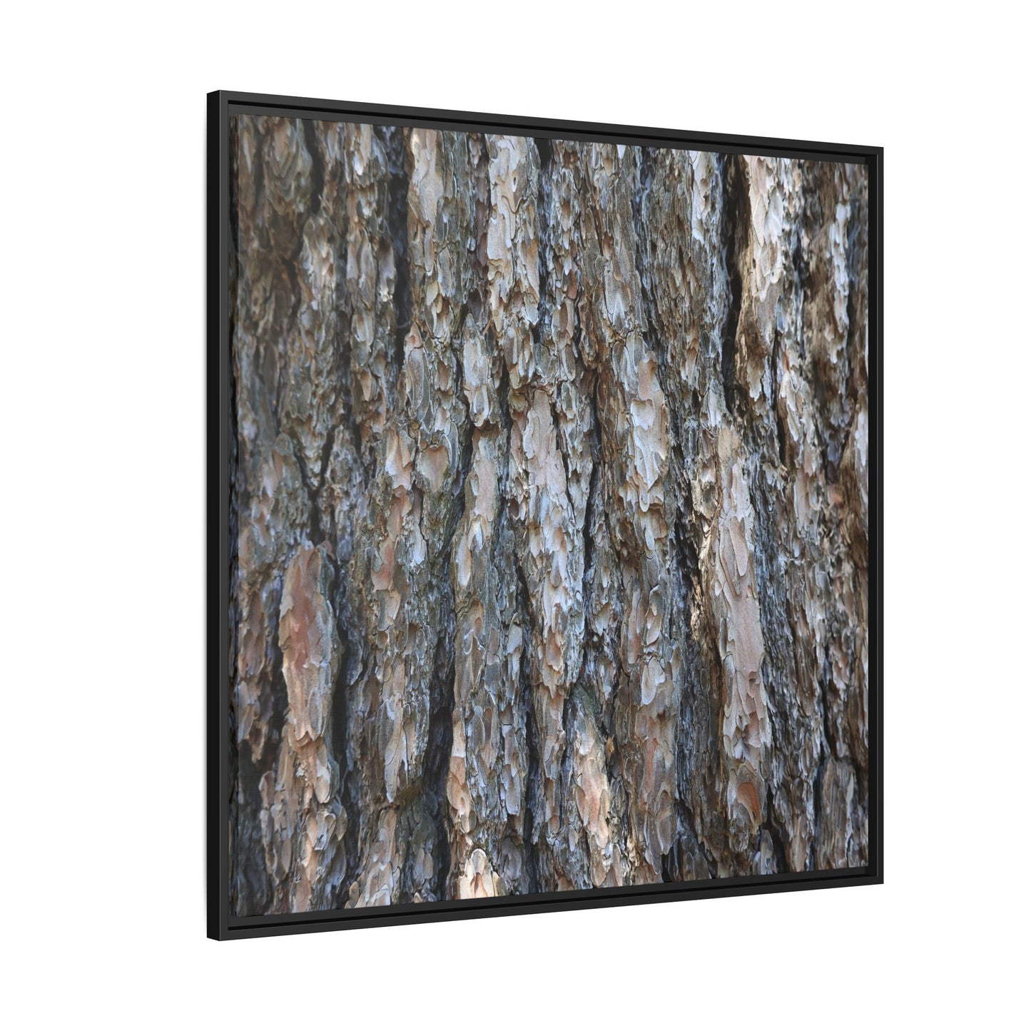 Bark Whispers - Unique Stretched Canvas Wall Art - Art By Earth