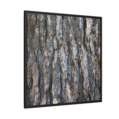 Bark Whispers - Unique Stretched Canvas Wall Art - Art By Earth