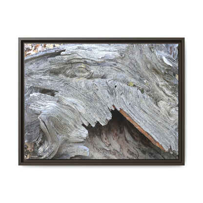 Driftwood Dreams - Unique Stretched Canvas Wall Art - Art By Earth