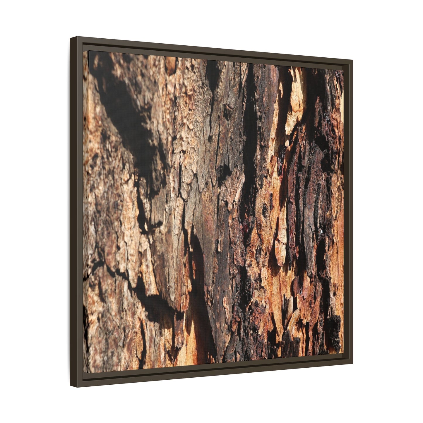Rugged Beauty - Unique Stretched Canvas Wall Art - Art By Earth
