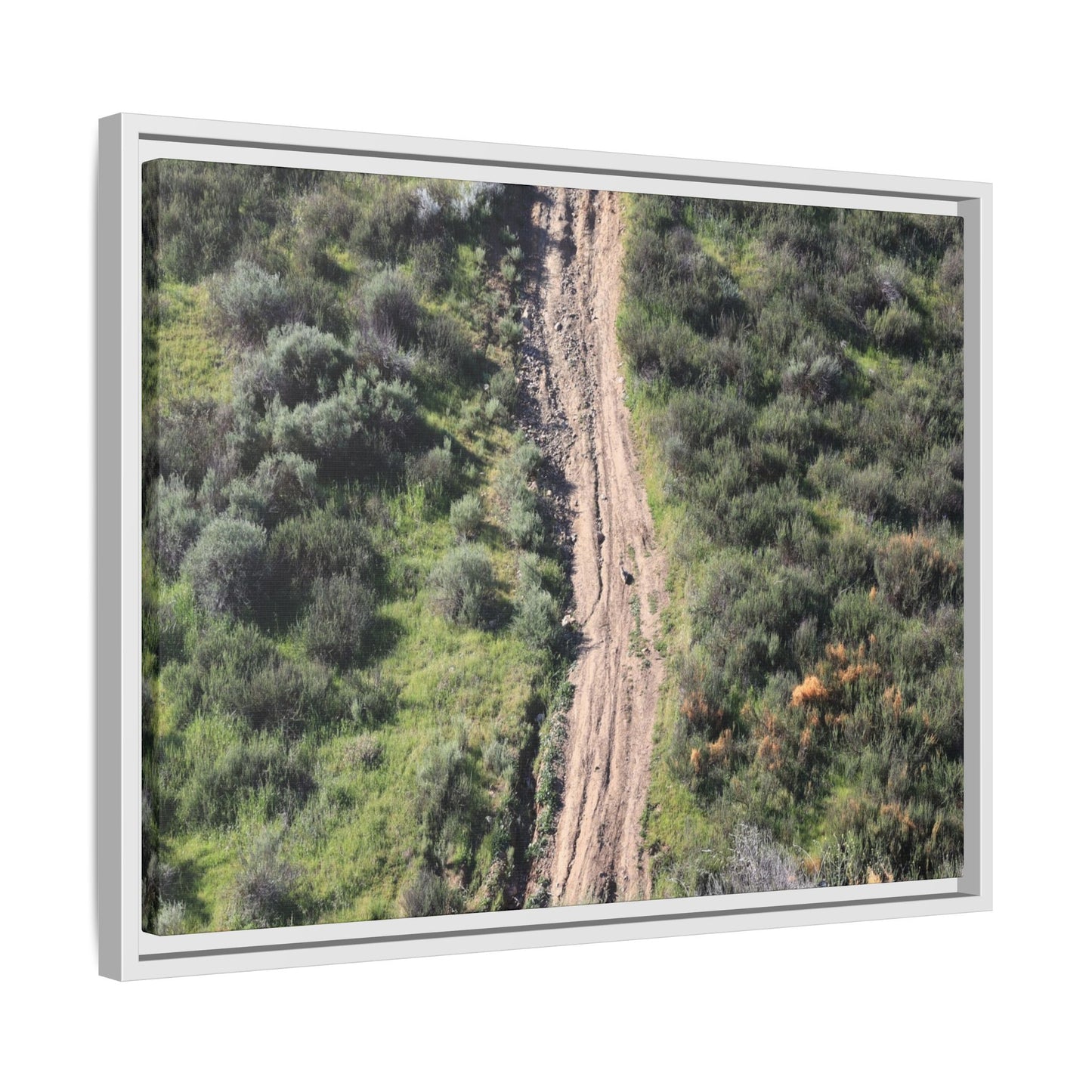 Desert Path Through Sage - Unique Stretched Canvas Wall Art - Art By Earth