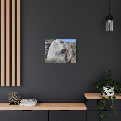 Skull Rock - Unique Frameless Canvas Wall Art - Art By Earth