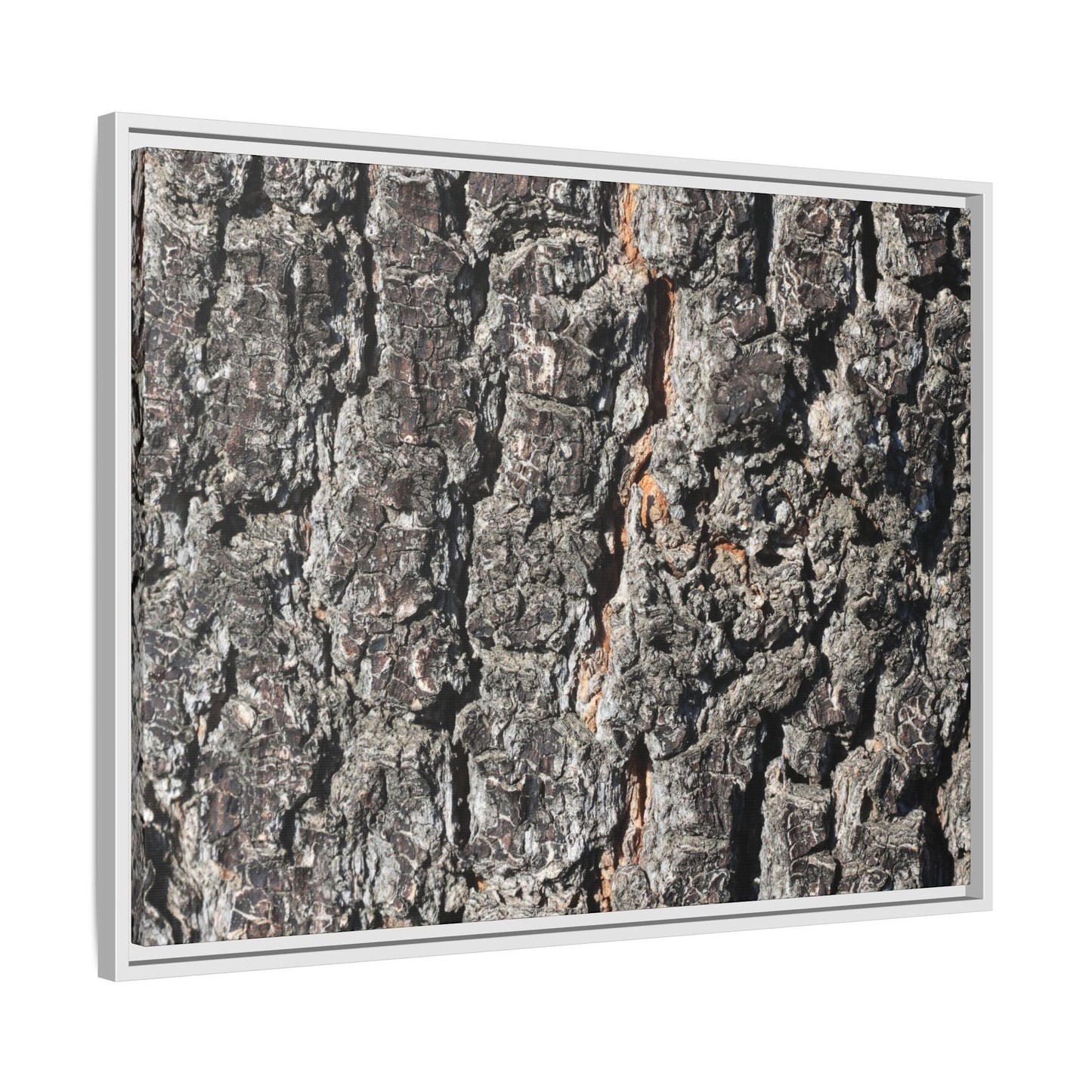 Aged Beauty - Unique Stretched Canvas Wall Art - Art By Earth