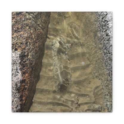 Weathered Concrete Gap - Unique Frameless Canvas Wall Art - Art By Earth