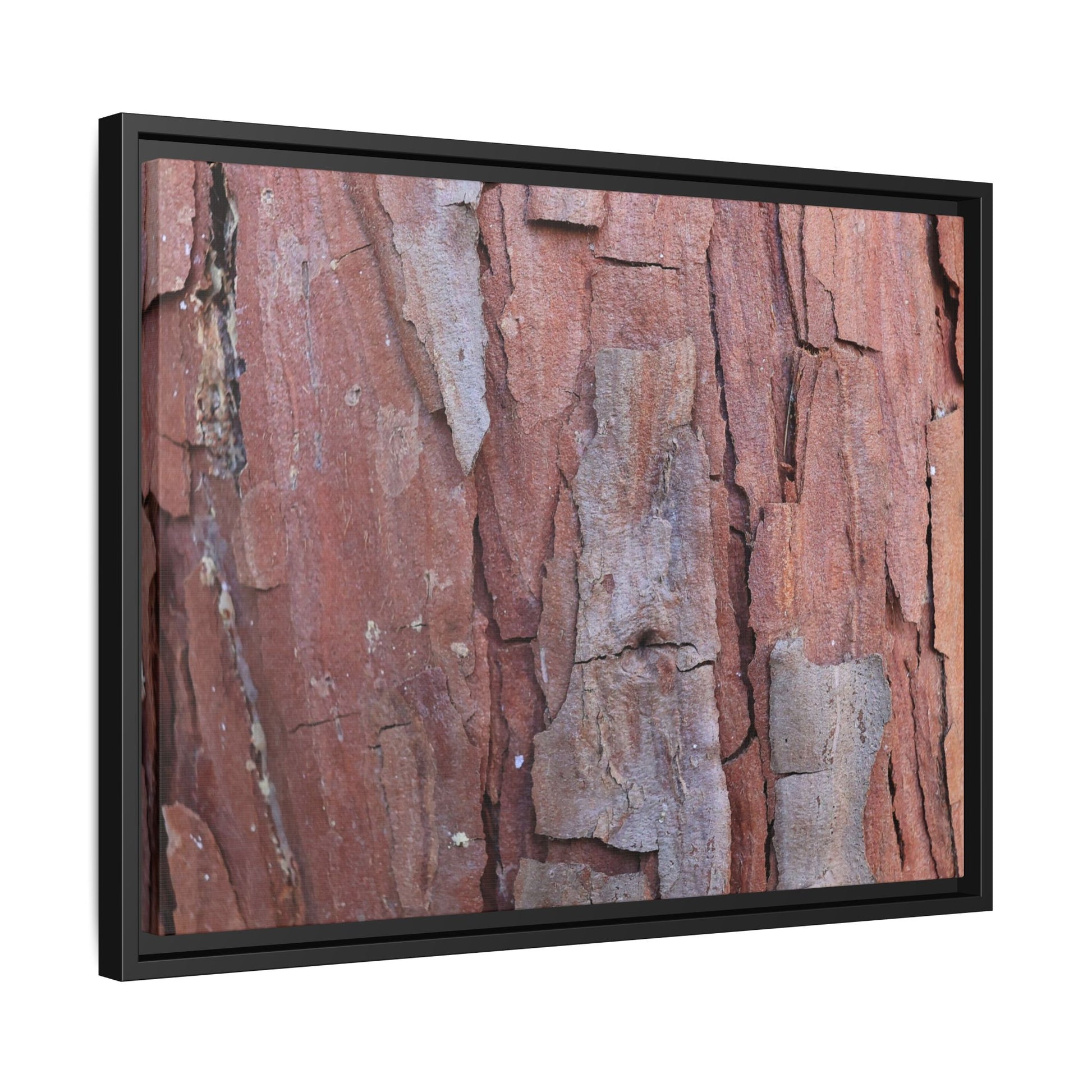 Peeling Bark - Unique Stretched Canvas Wall Art - Art By Earth