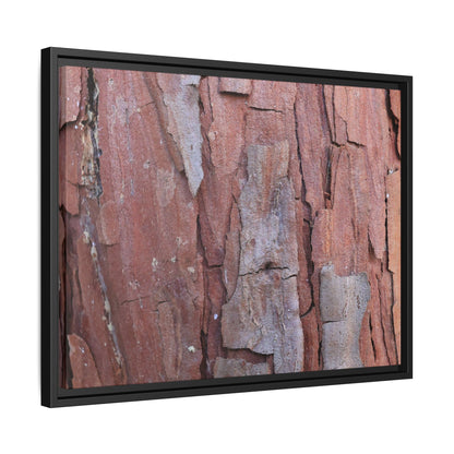 Peeling Bark - Unique Stretched Canvas Wall Art - Art By Earth