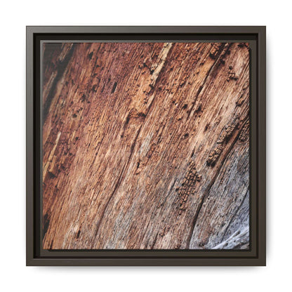 Time's Mark - Unique Stretched Canvas Wall Art - Art By Earth
