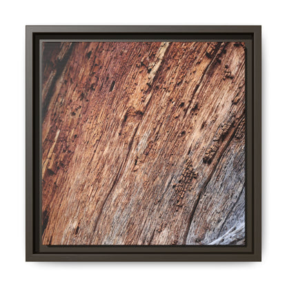 Time's Mark - Unique Stretched Canvas Wall Art - Art By Earth