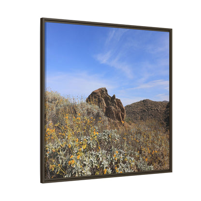 Golden Flowers in Arid Landscape - Unique Stretched Canvas Wall Art - Art By Earth