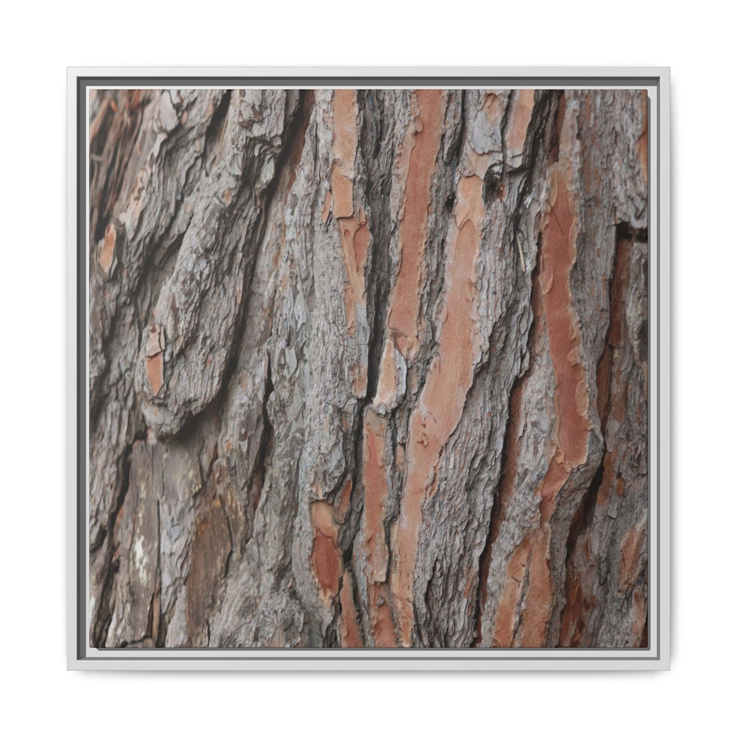 Woodland Layers - Unique Stretched Canvas Wall Art - Art By Earth