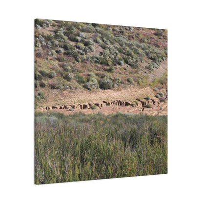 Ancient Dwellings in the Desert Valley - Unique Frameless Canvas Wall Art - Art By Earth