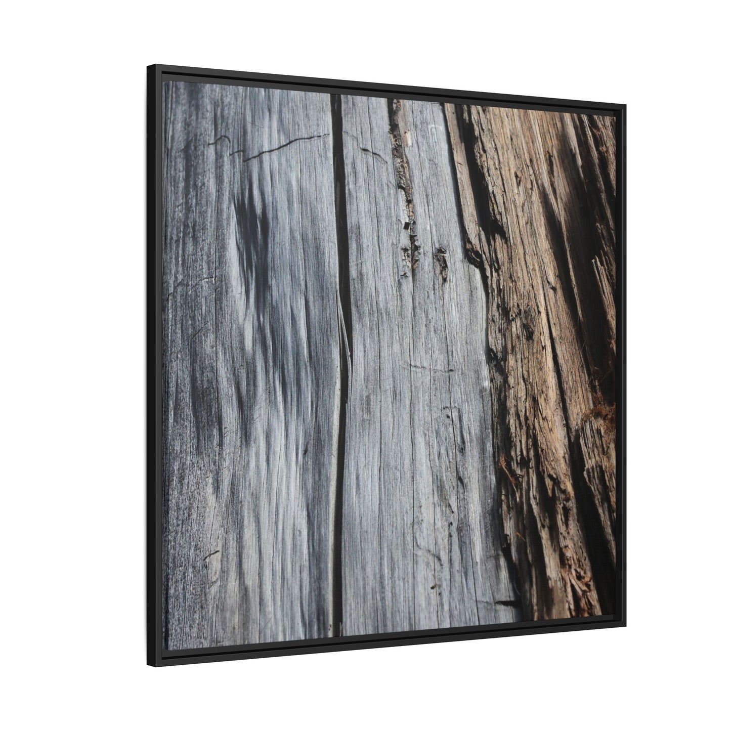 Wood's Lament - Unique Stretched Canvas Wall Art - Art By Earth