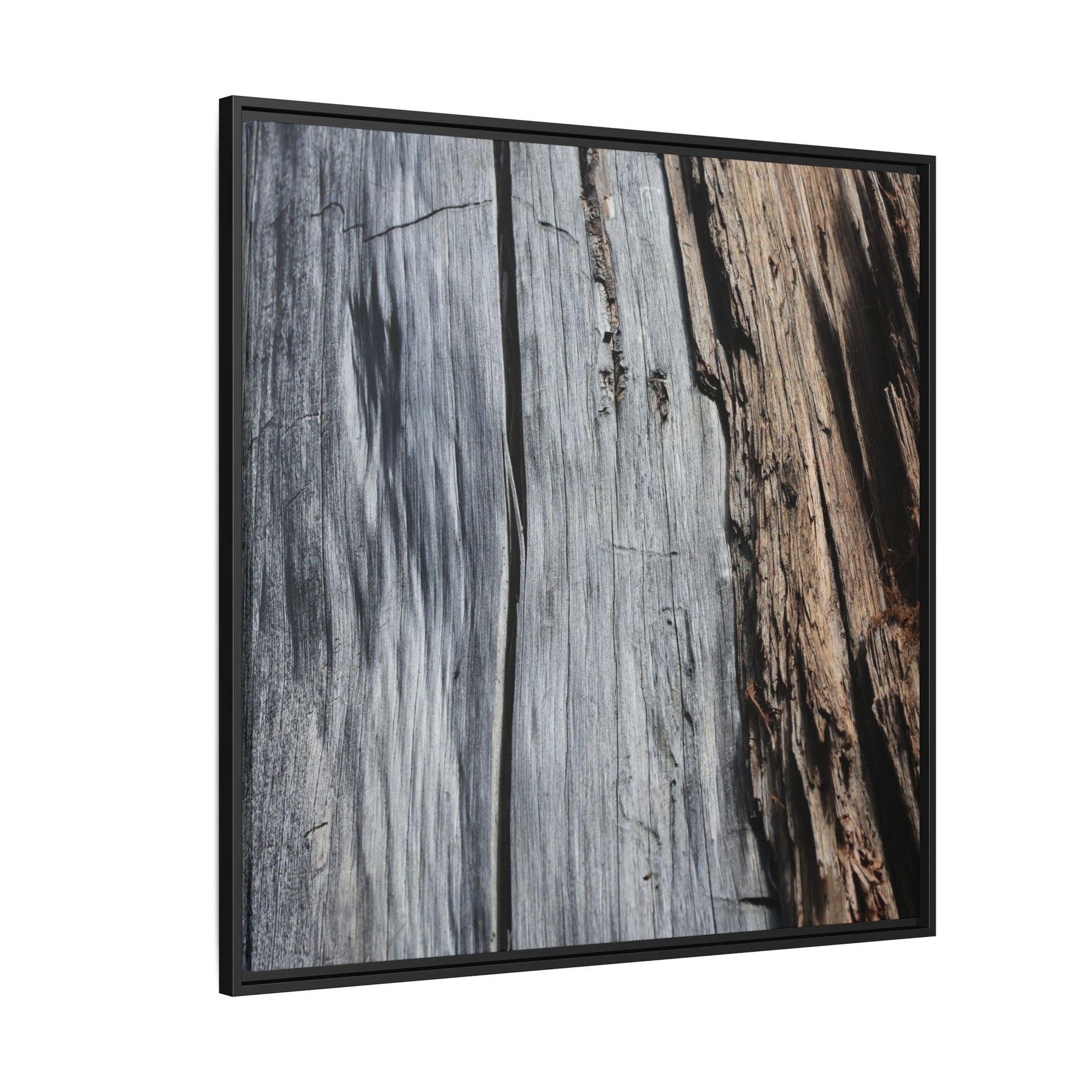 Wood's Lament - Unique Stretched Canvas Wall Art - Art By Earth
