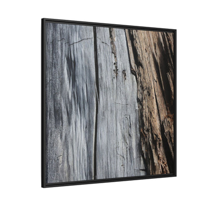 Wood's Lament - Unique Stretched Canvas Wall Art - Art By Earth