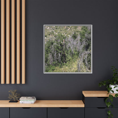 Forest Decline - Unique Stretched Canvas Wall Art