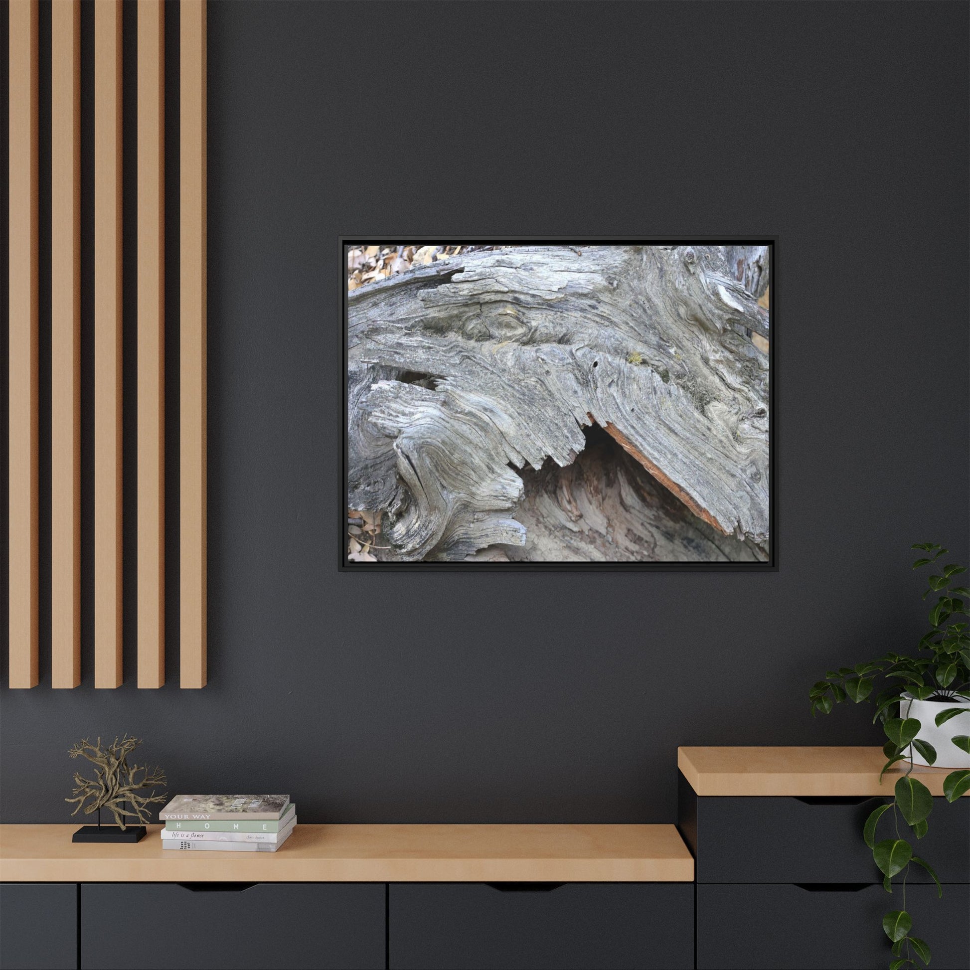 Driftwood Dreams - Unique Stretched Canvas Wall Art - Art By Earth