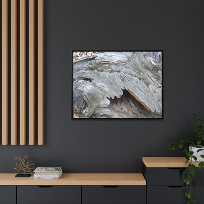 Driftwood Dreams - Unique Stretched Canvas Wall Art - Art By Earth