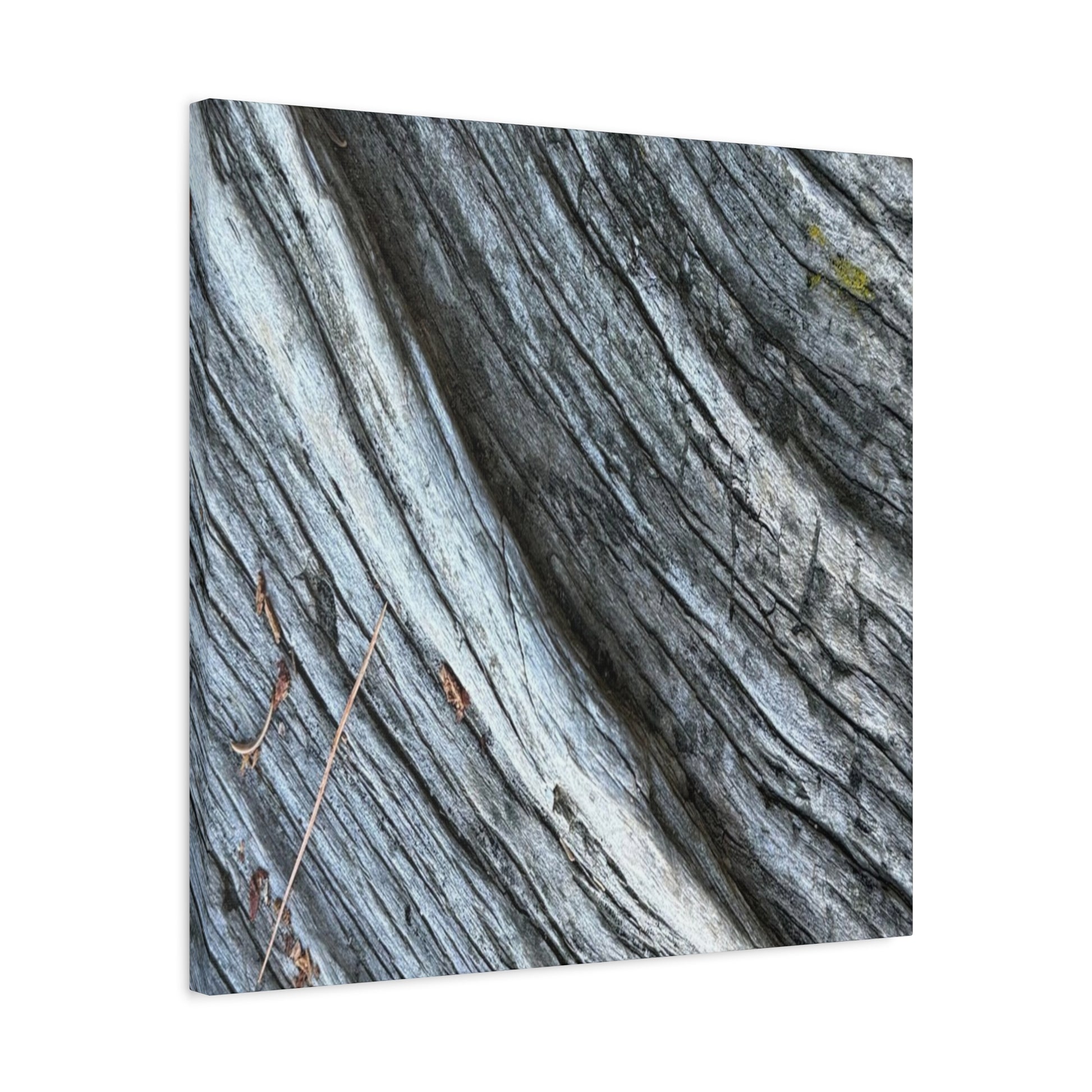 Weathered Wood Grain - Unique Frameless Canvas Wall Art - Art By Earth