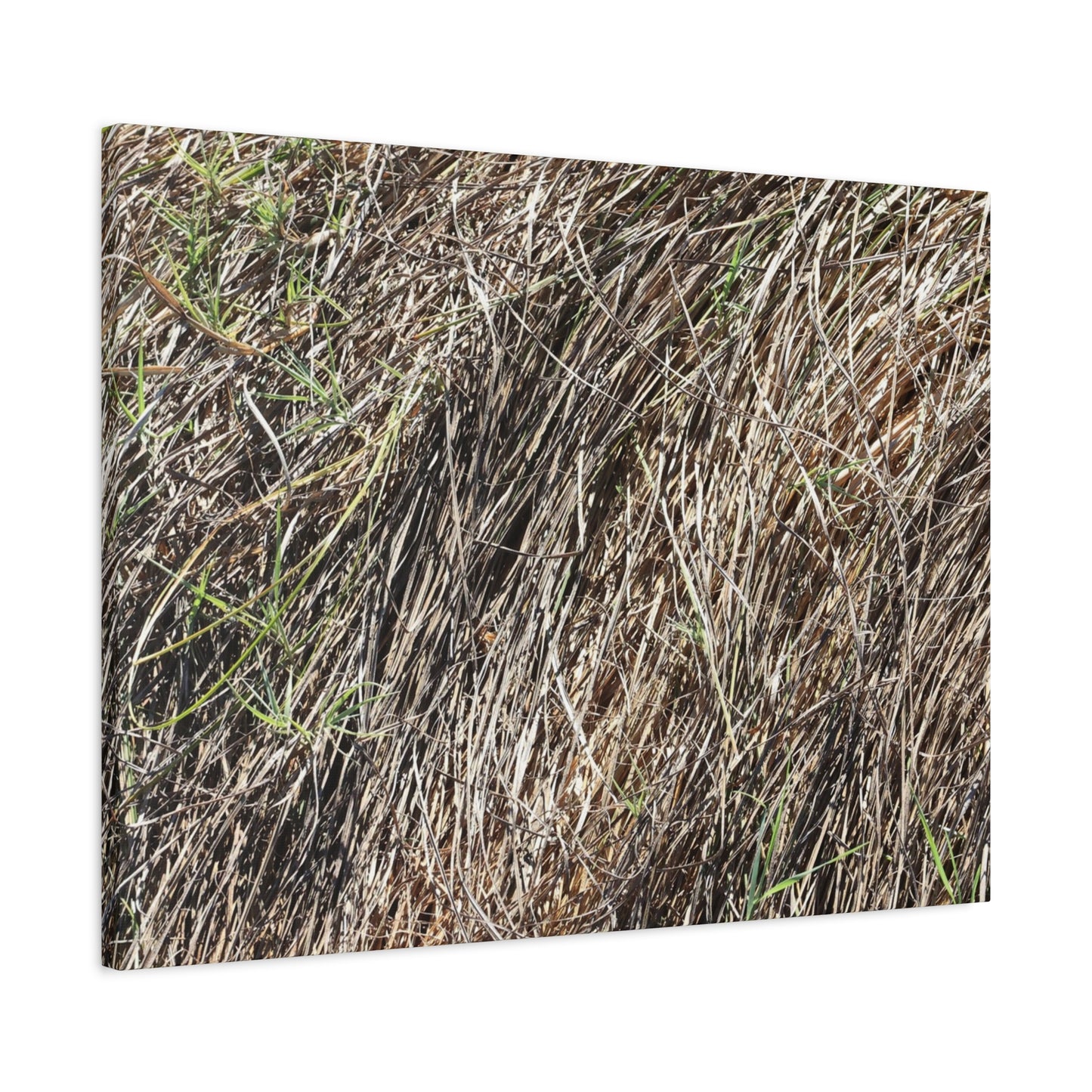 Tangled Wilderness - Unique Stretched Canvas Wall Art - Art By Earth