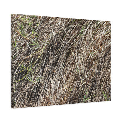 Tangled Wilderness - Unique Stretched Canvas Wall Art - Art By Earth