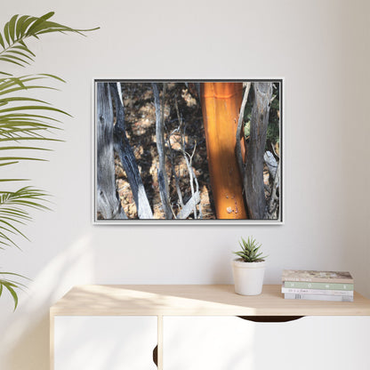 Burnt Trees and Golden Trunk - Unique Stretched Canvas Wall Art