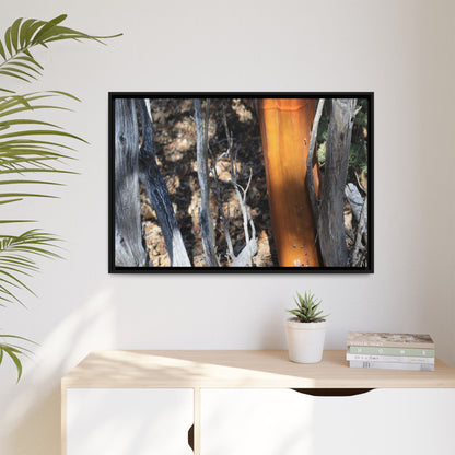Burnt Trees and Golden Trunk - Unique Stretched Canvas Wall Art