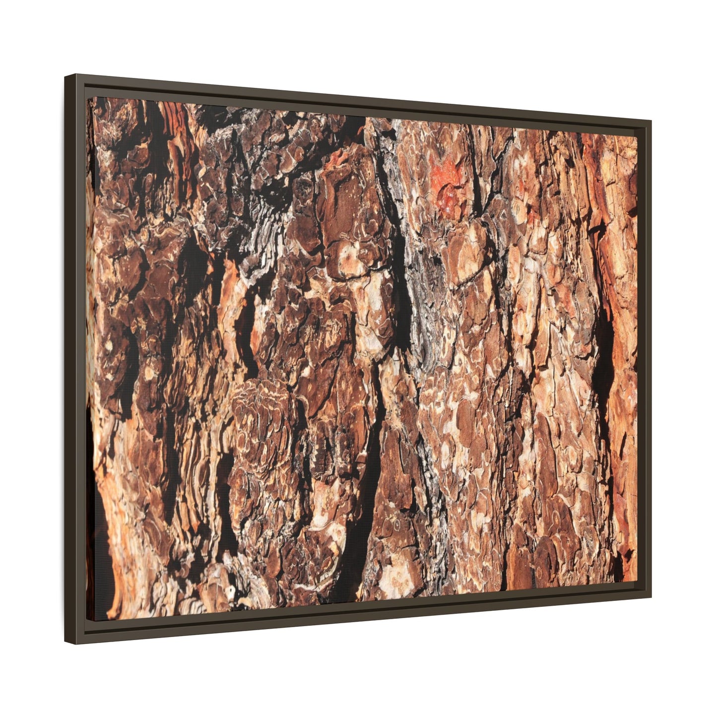 Nature's Rugged Canvas - Unique Stretched Canvas Wall Art