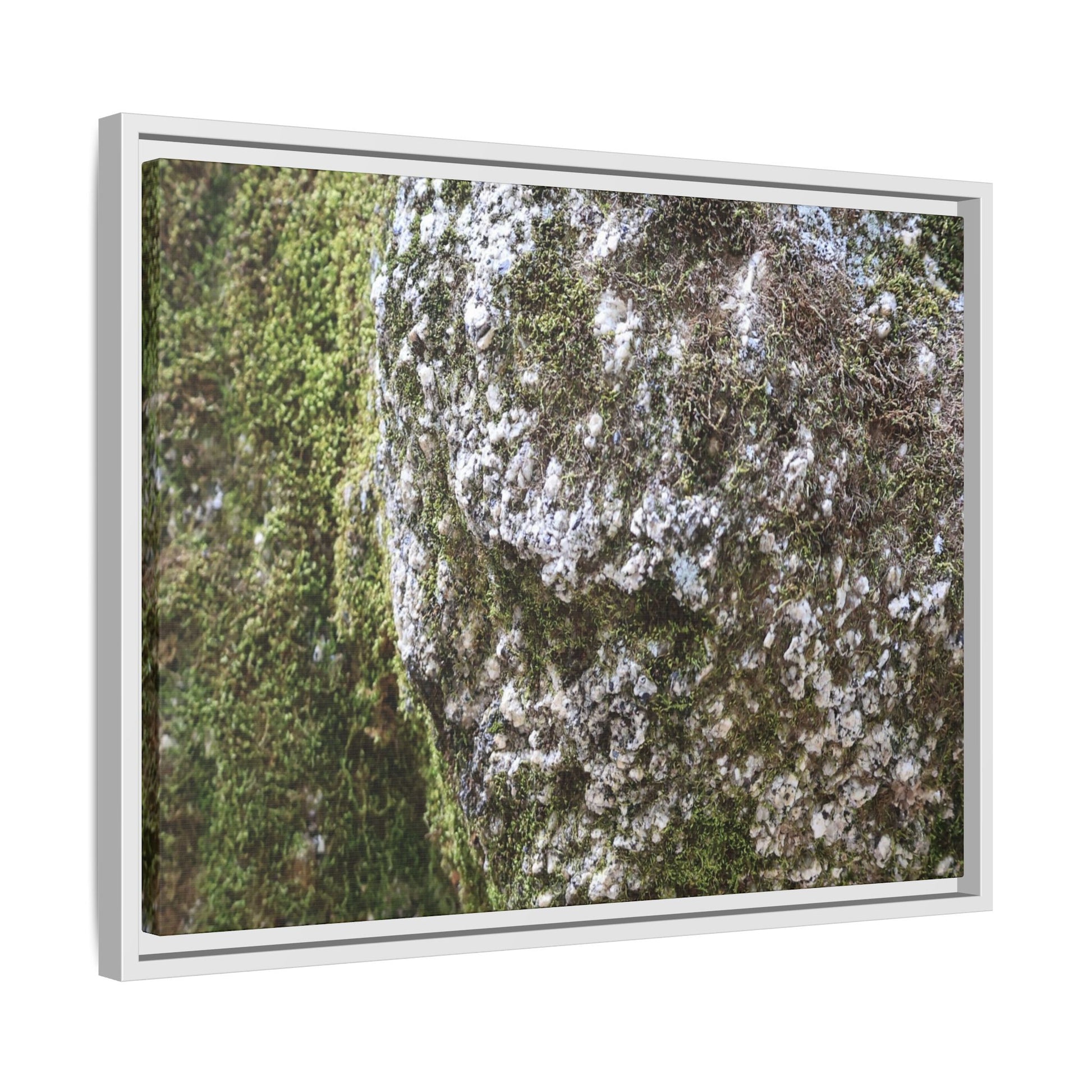 Lichen Landscape - Unique Stretched Canvas Wall Art - Art By Earth