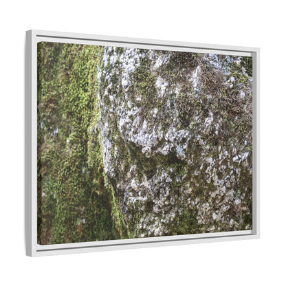 Lichen Landscape - Unique Stretched Canvas Wall Art - Art By Earth