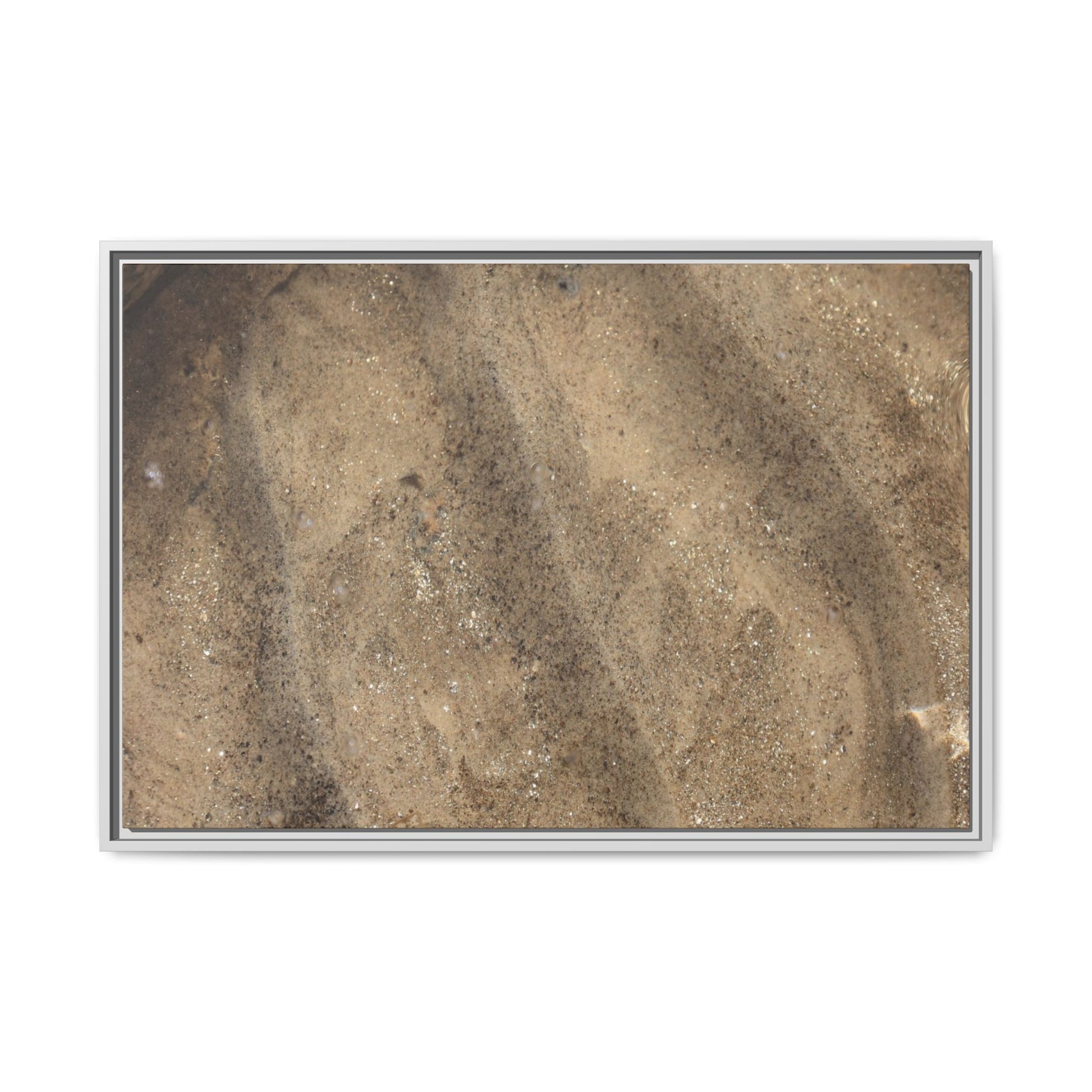Tidal Pool Secrets - Unique Stretched Canvas Wall Art - Art By Earth