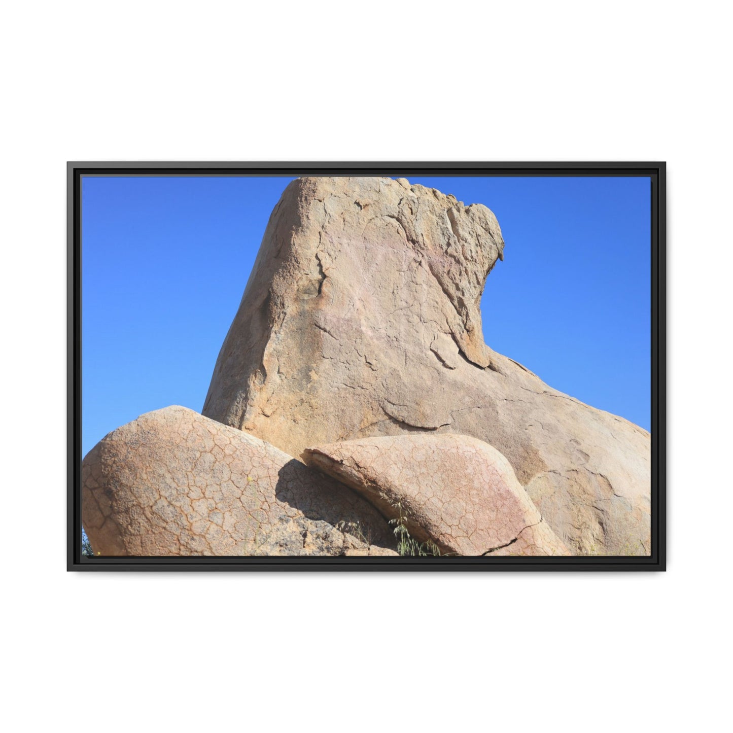 Rocky Sentinel - Unique Stretched Canvas Wall Art - Art By Earth