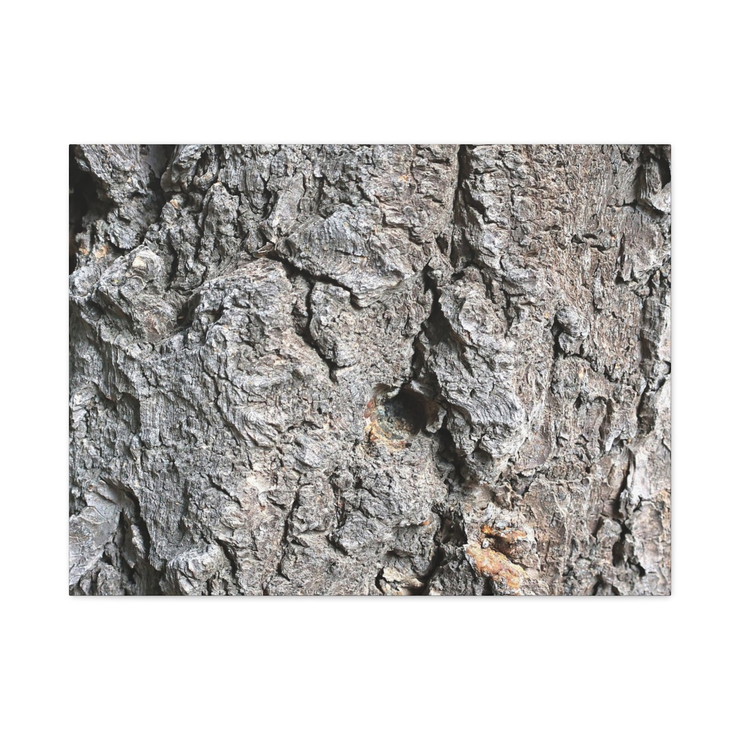 Elemental Canvas - Unique Frameless Canvas Wall Art - Art By Earth