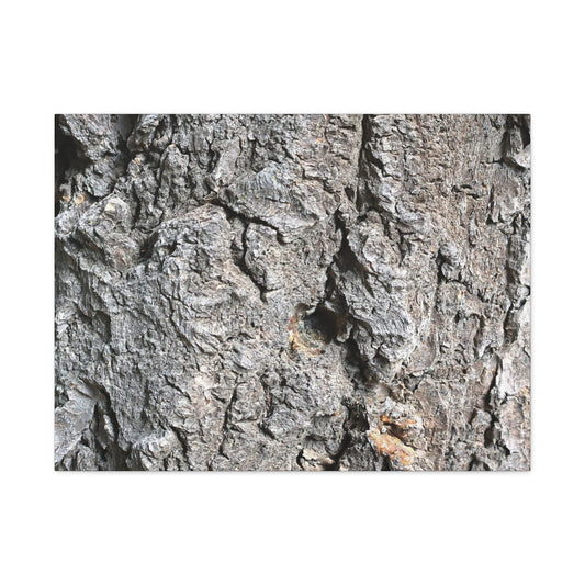 Elemental Canvas - Unique Frameless Canvas Wall Art - Art By Earth