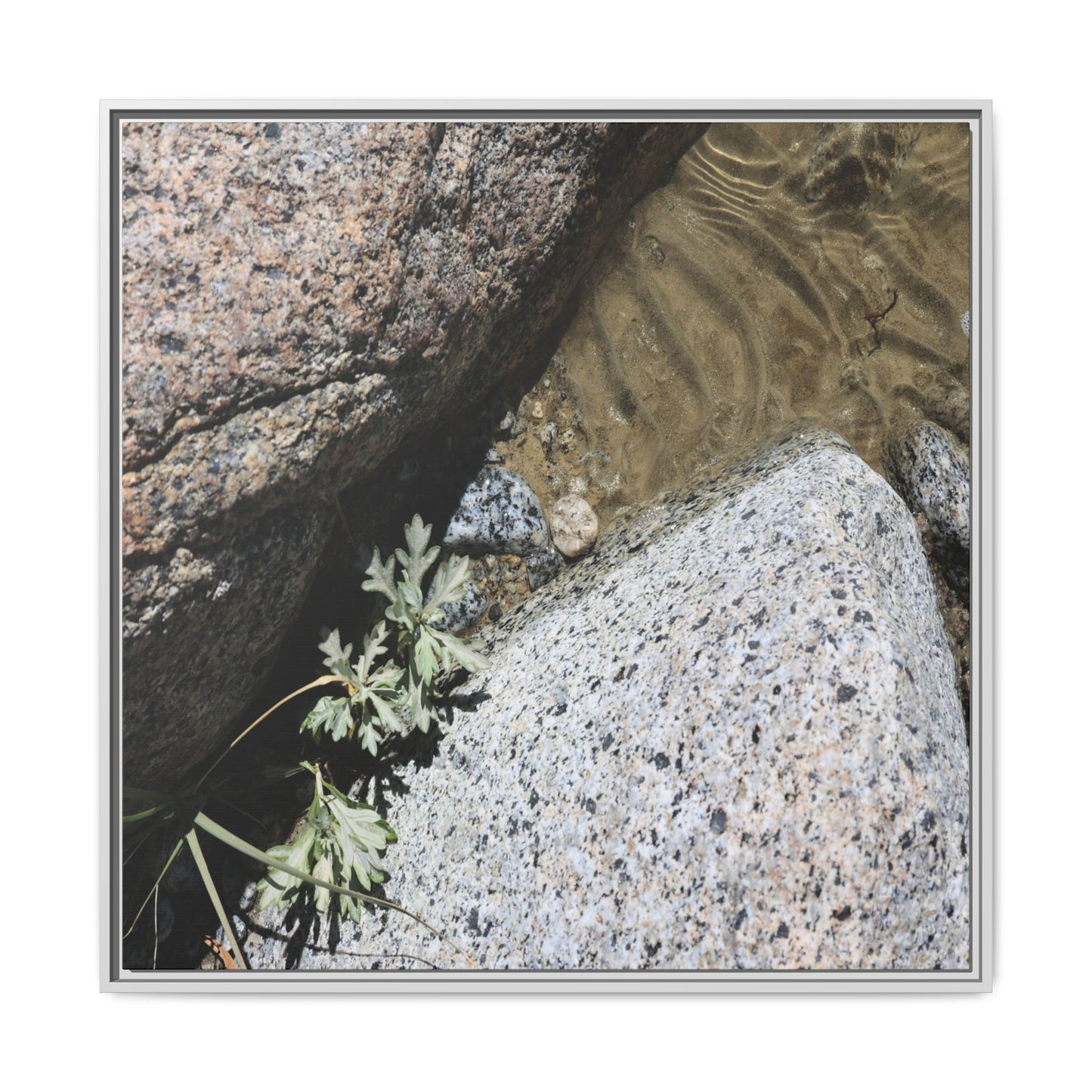 Resilience in Stone - Unique Stretched Canvas Wall Art - Art By Earth