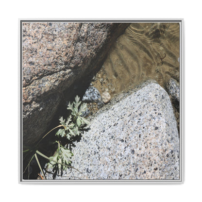Resilience in Stone - Unique Stretched Canvas Wall Art - Art By Earth