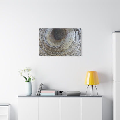 Bark's Eye - Unique Frameless Canvas Wall Art - Art By Earth