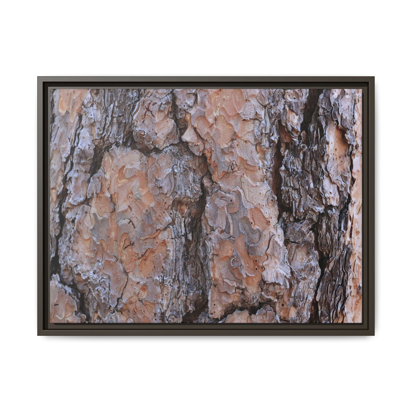 Tree Skin Symphony - Unique Stretched Canvas Wall Art - Art By Earth