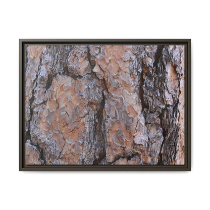 Tree Skin Symphony - Unique Stretched Canvas Wall Art - Art By Earth