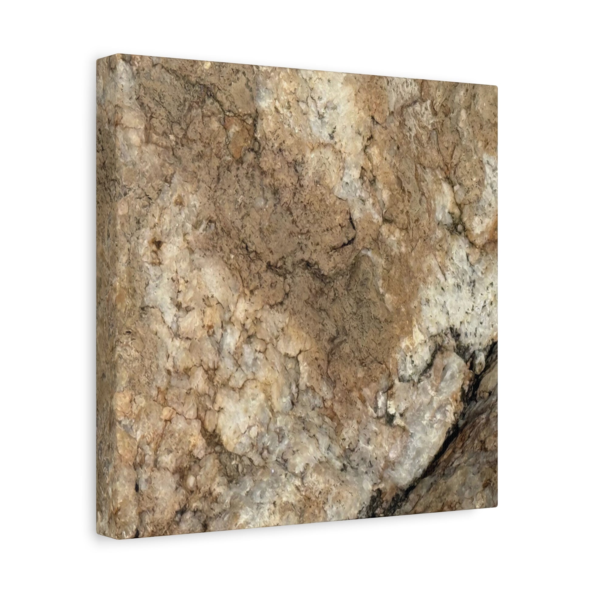 Desert Terrain - Unique Frameless Canvas Wall Art - Art By Earth