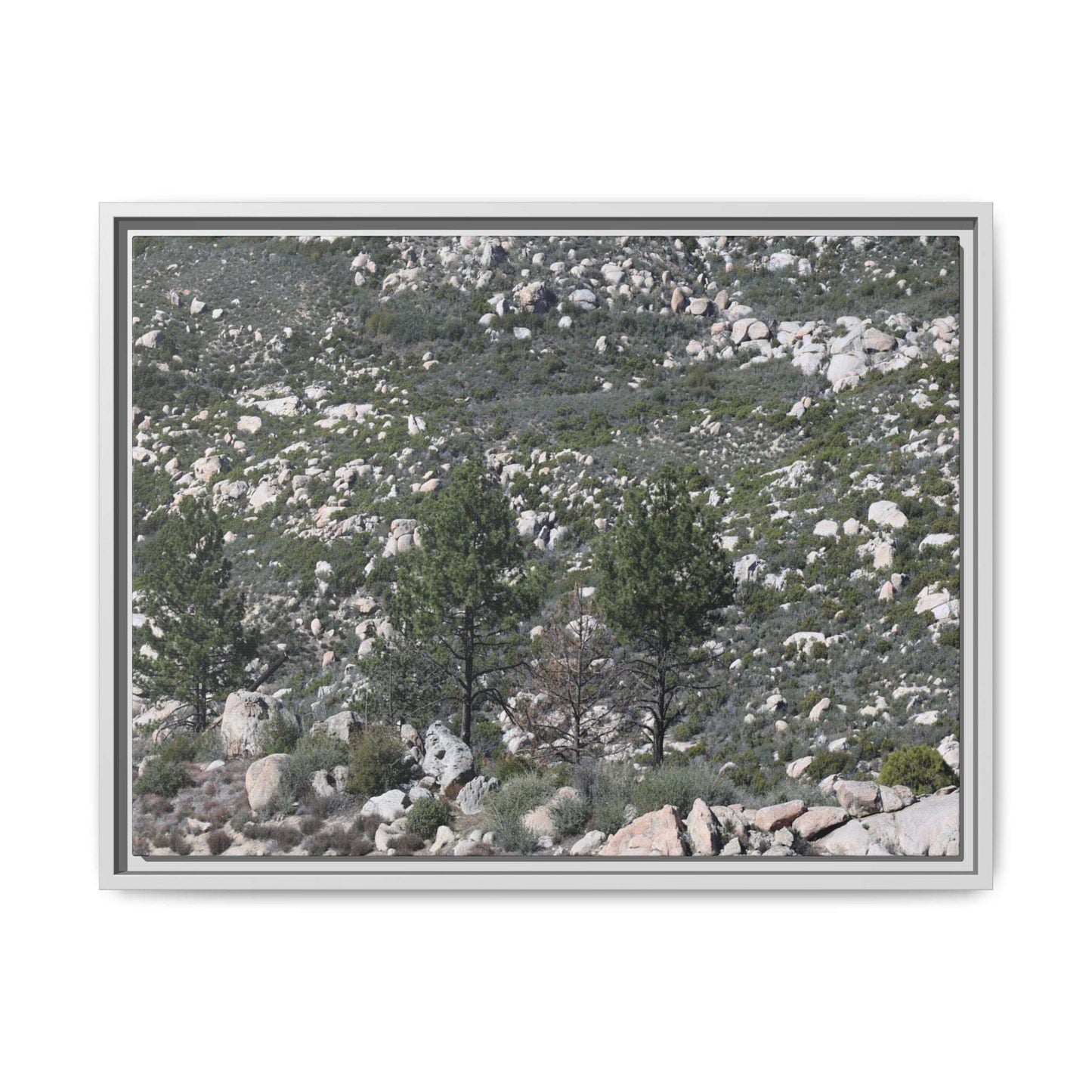 Rocky Hillside with Pine Trees - Unique Stretched Canvas Wall Art - Art By Earth