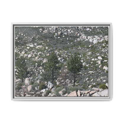 Rocky Hillside with Pine Trees - Unique Stretched Canvas Wall Art - Art By Earth