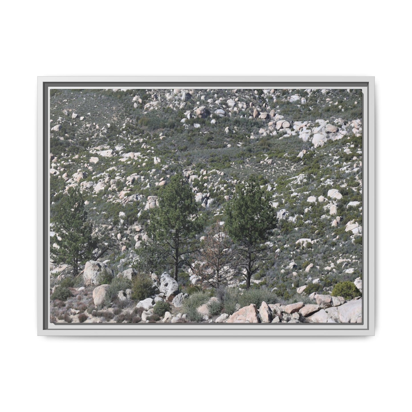 Rocky Hillside with Pine Trees - Unique Stretched Canvas Wall Art - Art By Earth