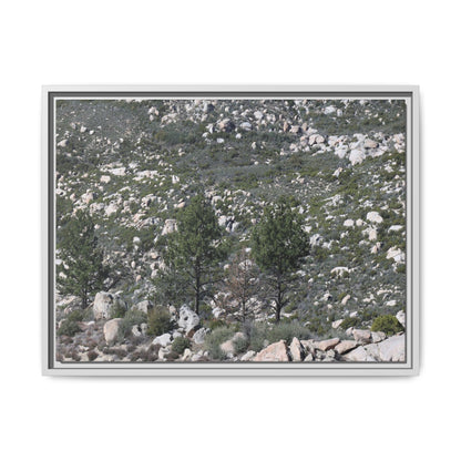 Rocky Hillside with Pine Trees - Unique Stretched Canvas Wall Art - Art By Earth