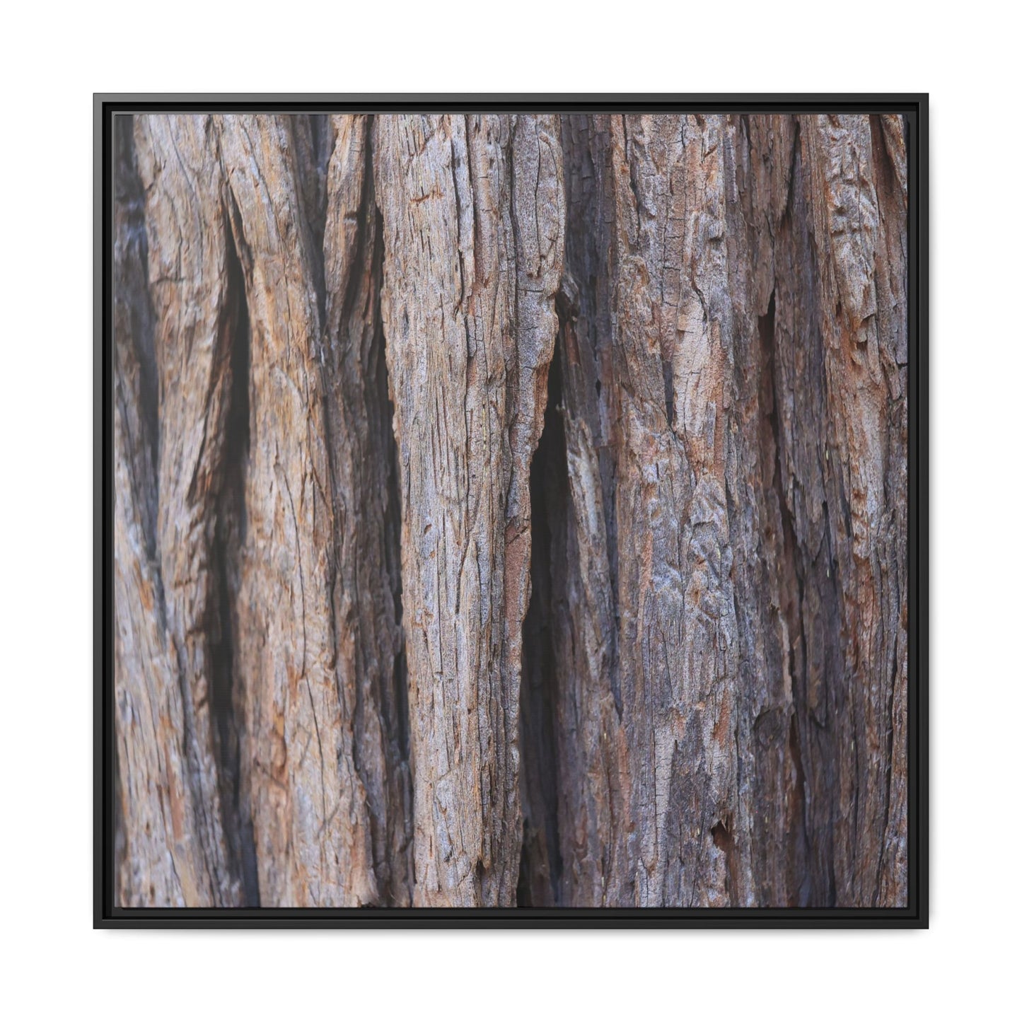 Ancient Grains - Unique Stretched Canvas Wall Art - Art By Earth