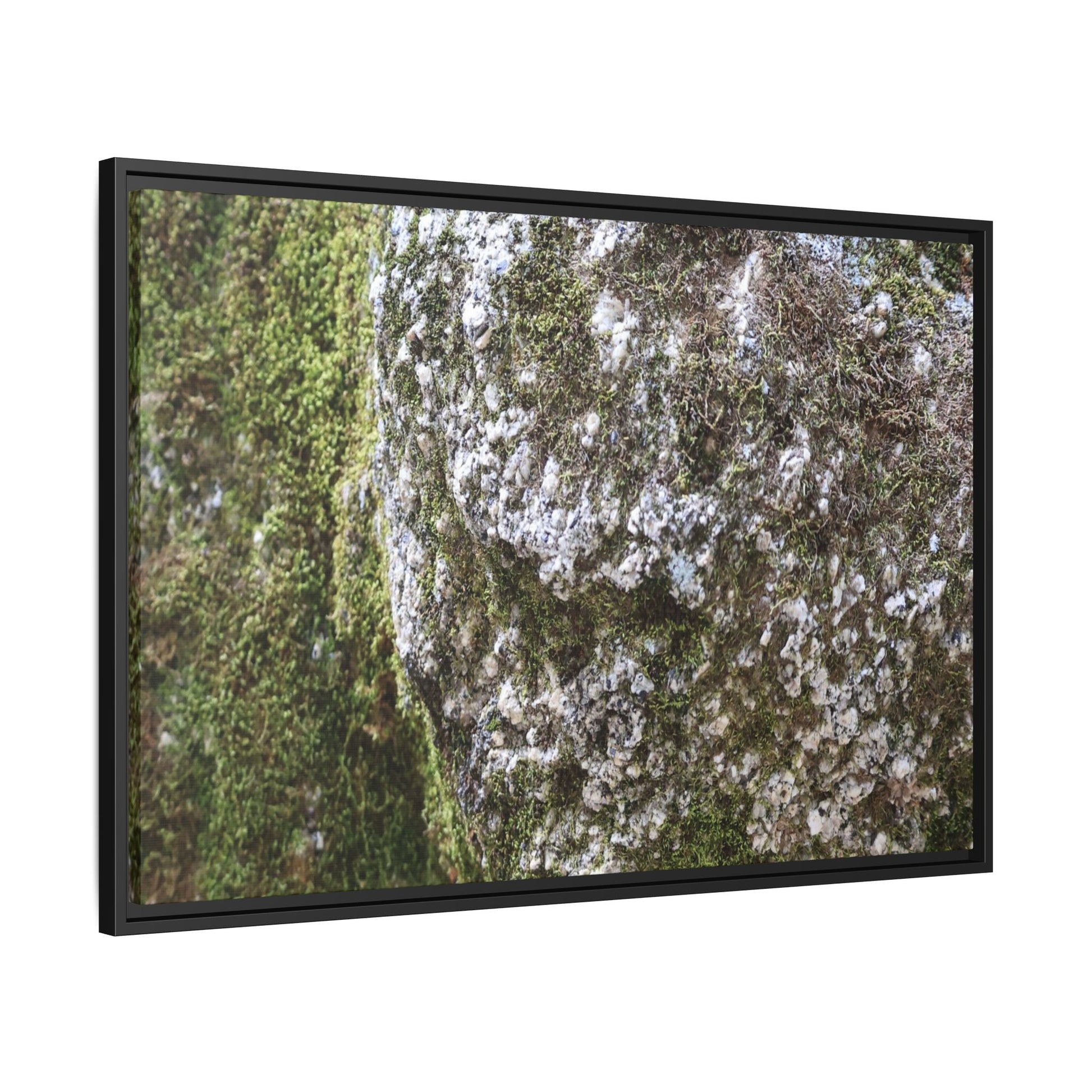 Lichen Landscape - Unique Stretched Canvas Wall Art - Art By Earth