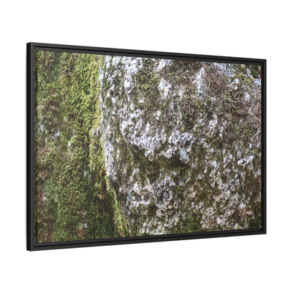 Lichen Landscape - Unique Stretched Canvas Wall Art - Art By Earth