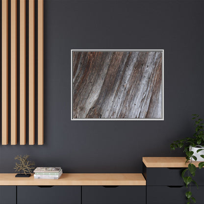 Aged Timber Texture - Unique Stretched Canvas Wall Art - Art By Earth