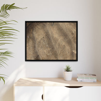 Tidal Pool Secrets - Unique Stretched Canvas Wall Art - Art By Earth